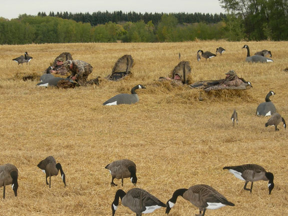 waterfowl hunting Venture North Outfitting